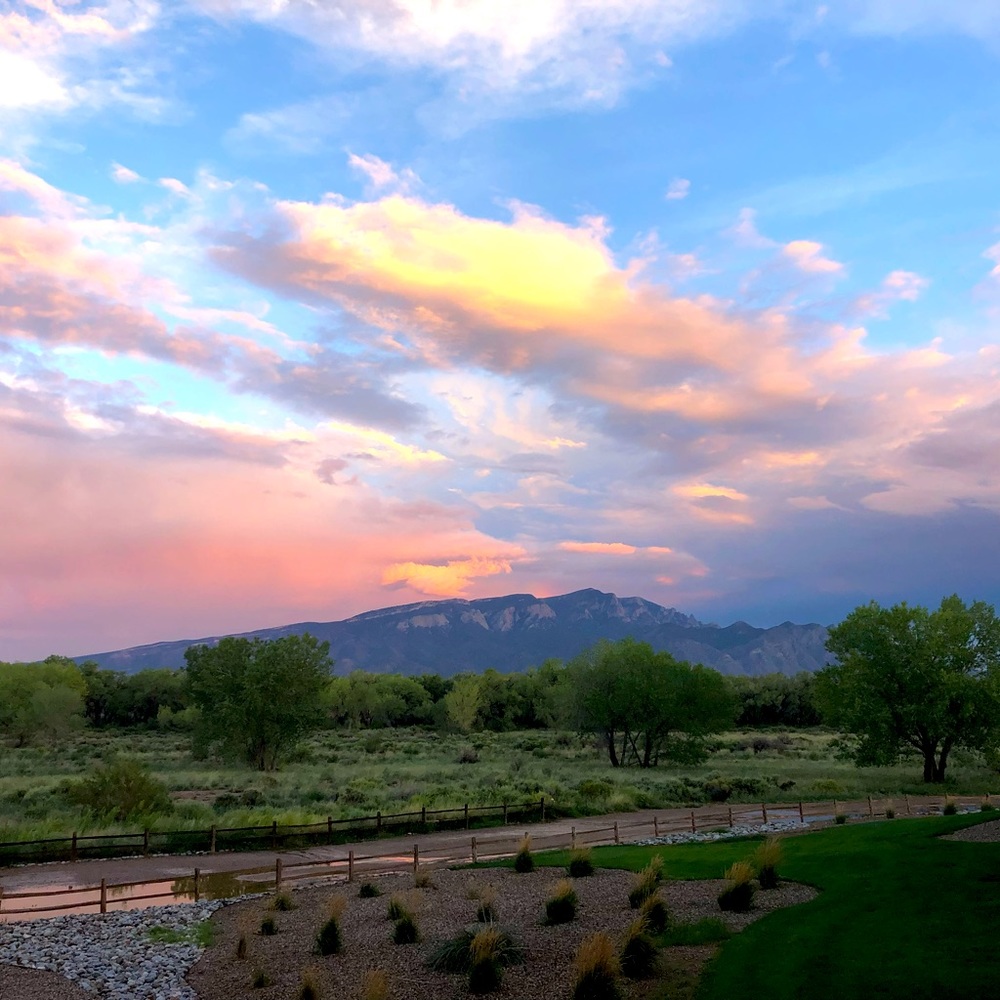 Meet your Posher, Norone